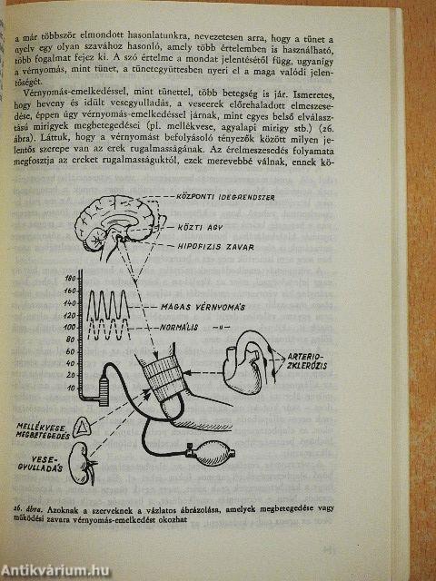 Szívbetegségekről szívbetegeknek