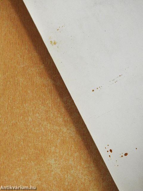 Spanyol nyelvkönyv kezdőknek - Munkafüzet