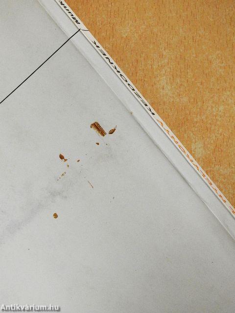 Spanyol nyelvkönyv kezdőknek - Munkafüzet