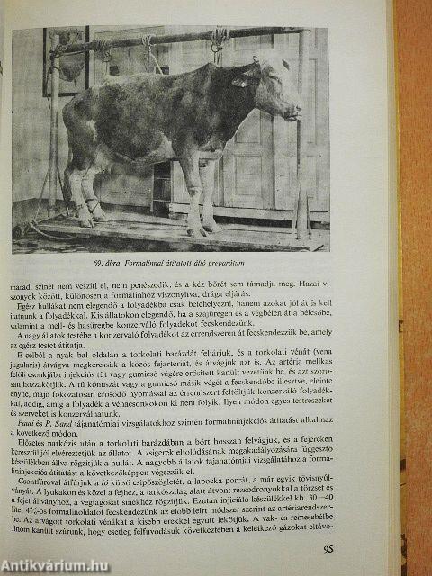 Állatpreparátumok készítése