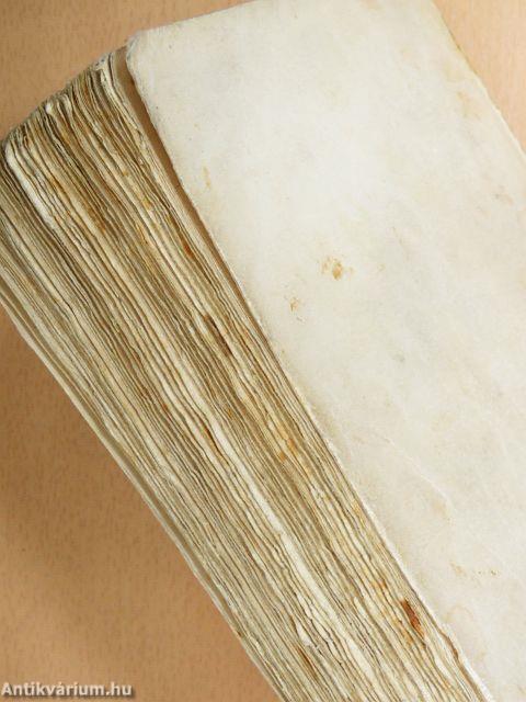 Erzsébet magyar királyné