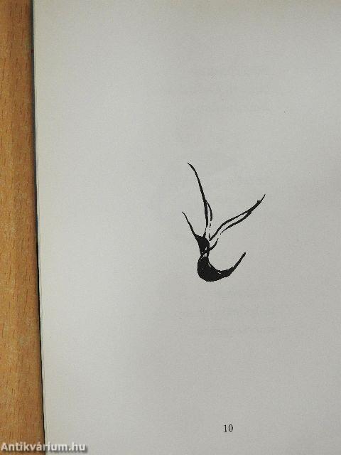 Szélbe kitett lámpás