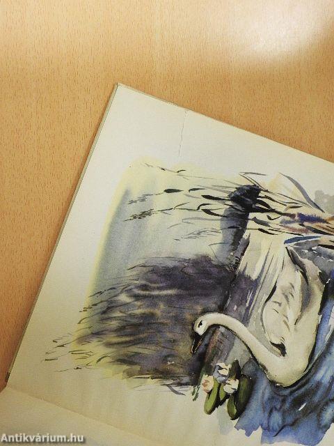 Schlafverlorne Vögelein