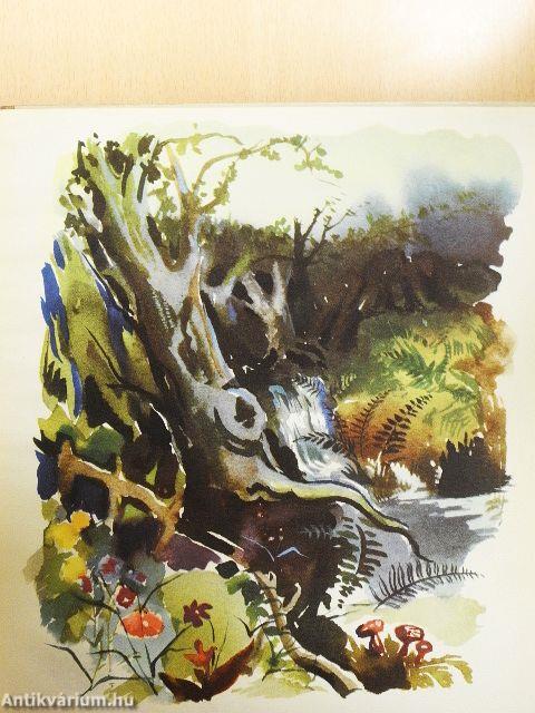 Schlafverlorne Vögelein