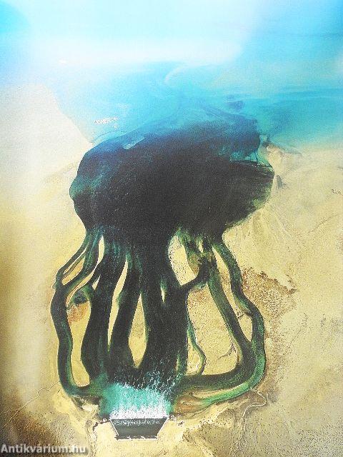 The Earth from the Air