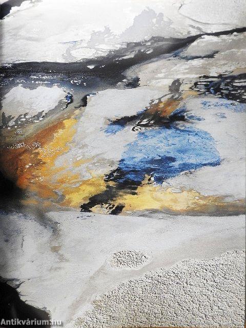 The Earth from the Air