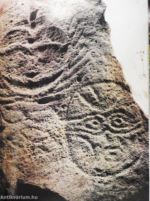 Ancient Art of the Amur Region