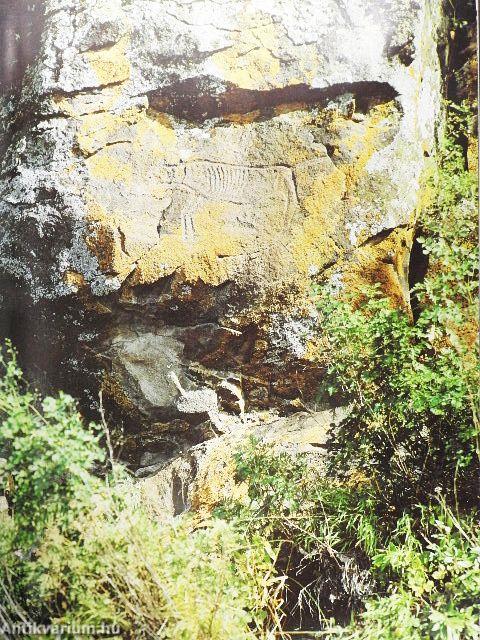 Ancient Art of the Amur Region