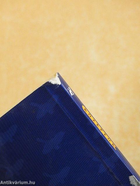 Nyelvtani gyakorlatok, fordítás idegen nyelvre, fogalmazás - Angol középfok