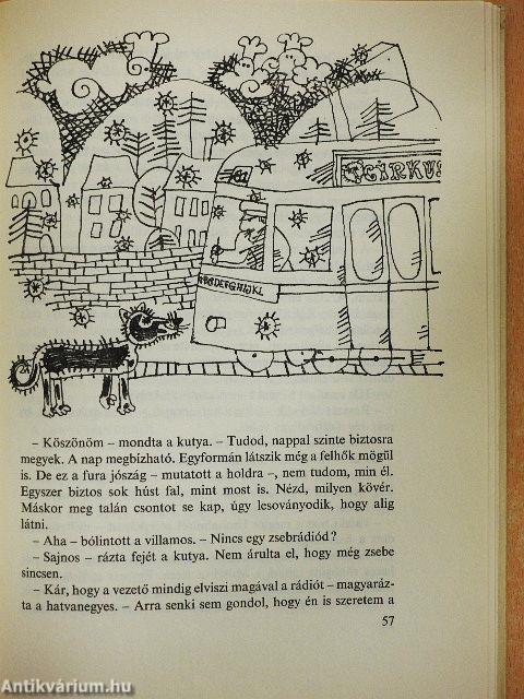 A cica, aki kétszer veszett el