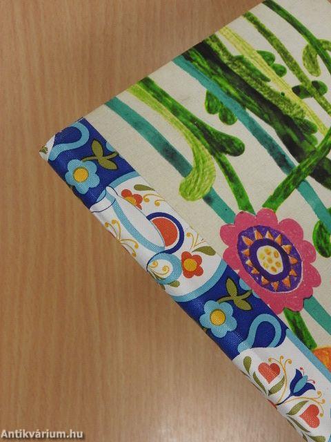 A cica, aki kétszer veszett el