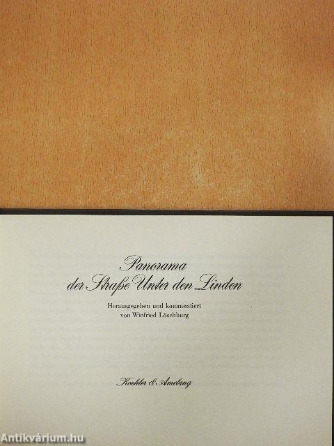 Panorama der Straße Unter den Linden