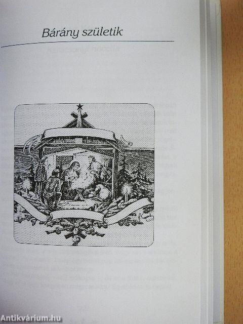 Karácsonyi történet