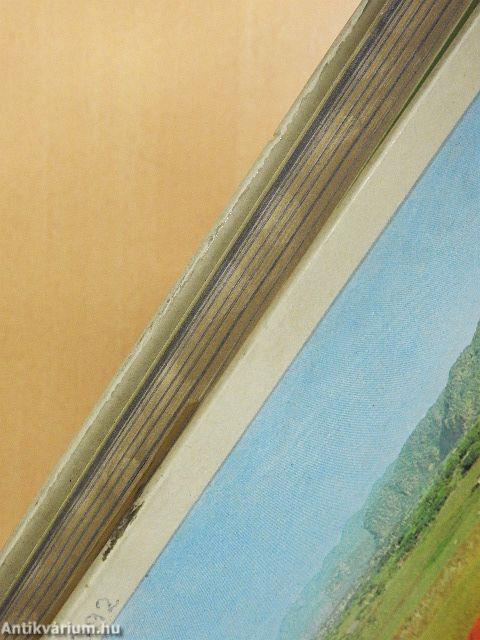 Kubában térképeztünk