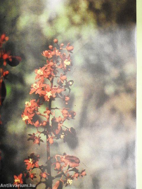 Kubában térképeztünk