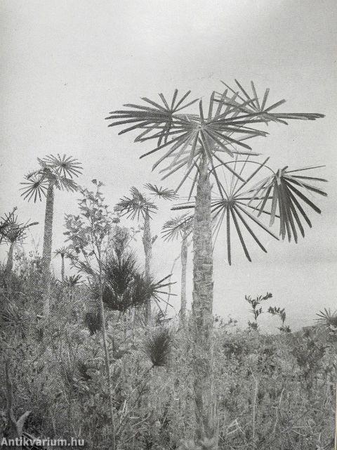 Kubában térképeztünk