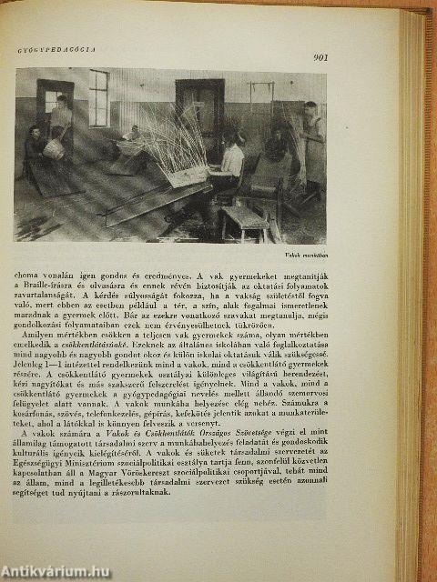 A kultúra világa - Irodalom/Filozófia/Nevelés