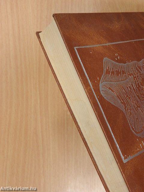 Pázmány Péter I-III.