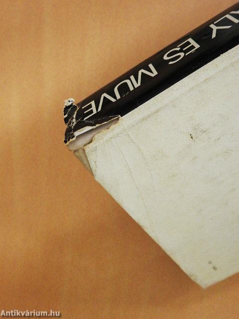 István király és műve