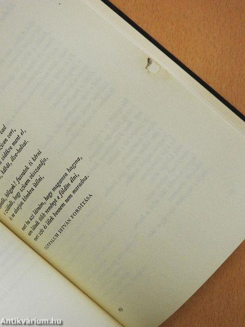 Szerelemről álmodozva