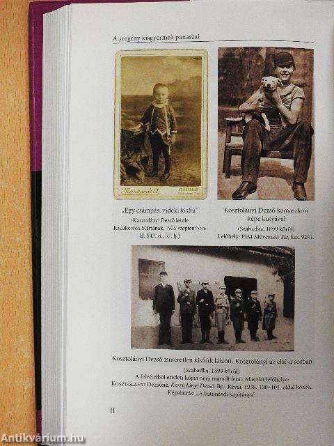 A szegény kisgyermek panaszai