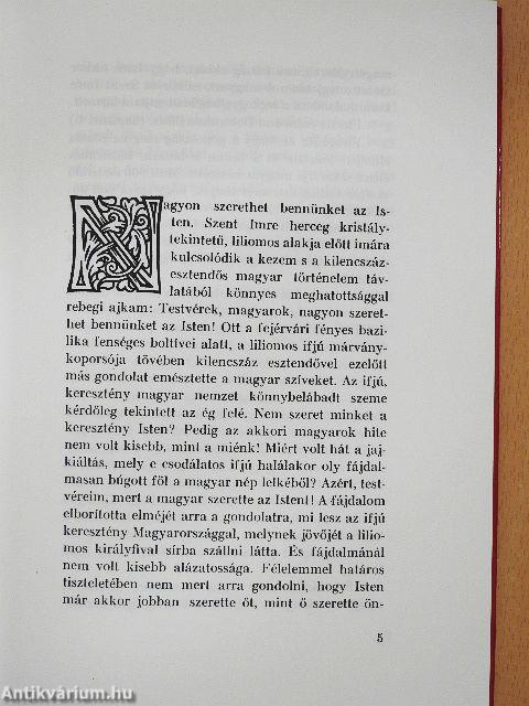 Az elragadott herceg