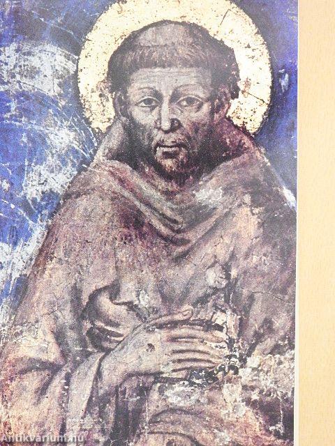 A Naptestvér regénye