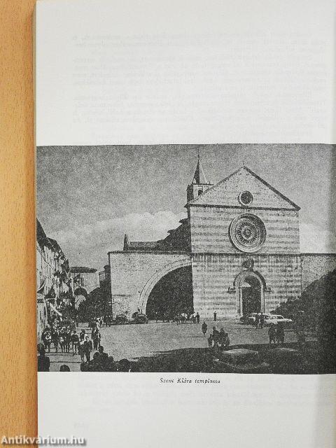 A Naptestvér regénye