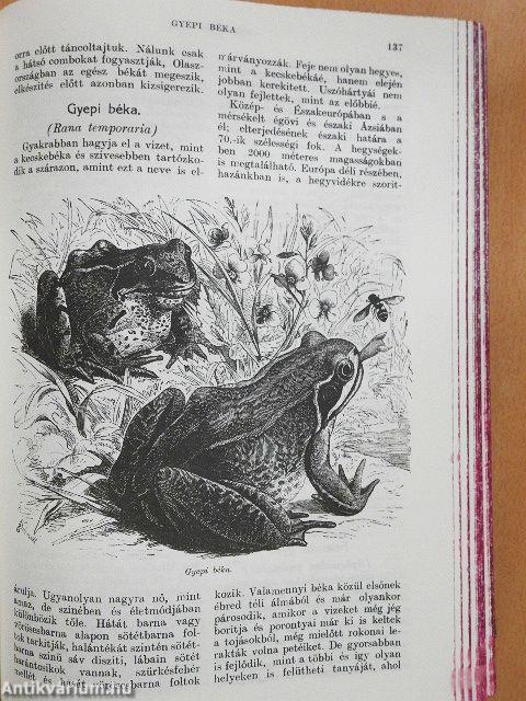 Brehm - Az állatok világa