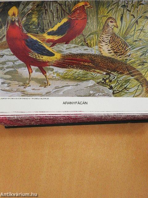 Brehm - Az állatok világa