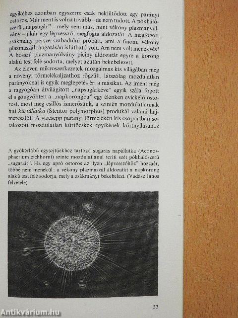 A természet szabadalmai