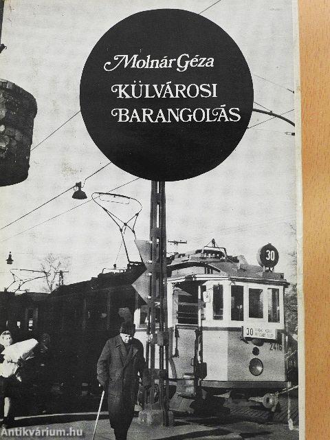 Külvárosi barangolás