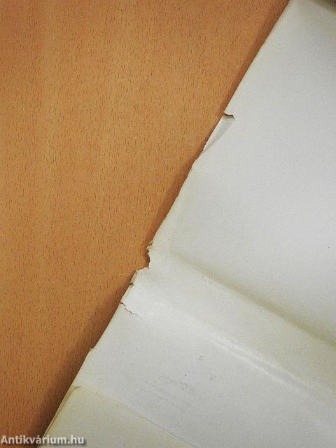 Külvárosi barangolás