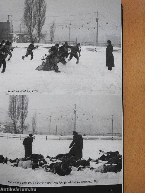 Kaszkadőrnek születtem