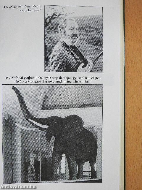 Puskák-pajzsok-fohászok