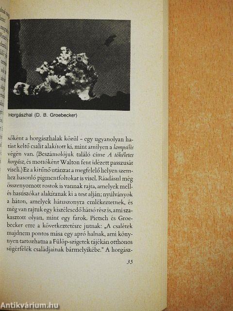 A panda hüvelykujja