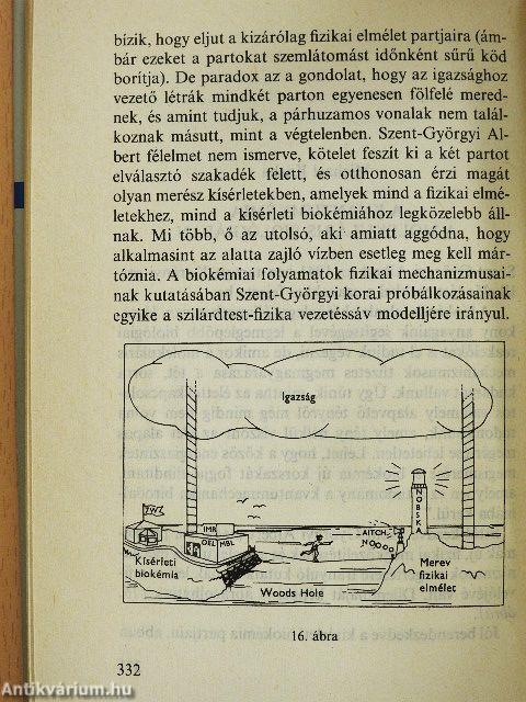 Válogatott tanulmányok
