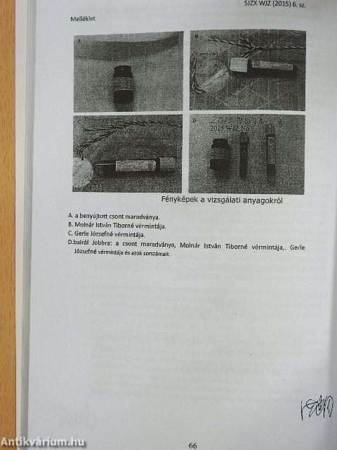 Dokumentum gyűjtemény