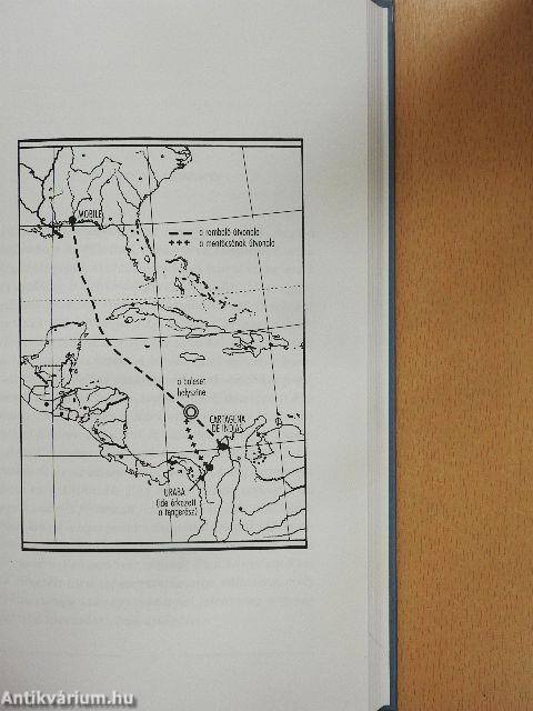 Egy hajótörött története