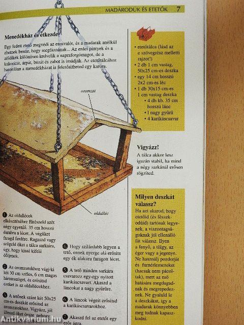 Madárodúk és etetők