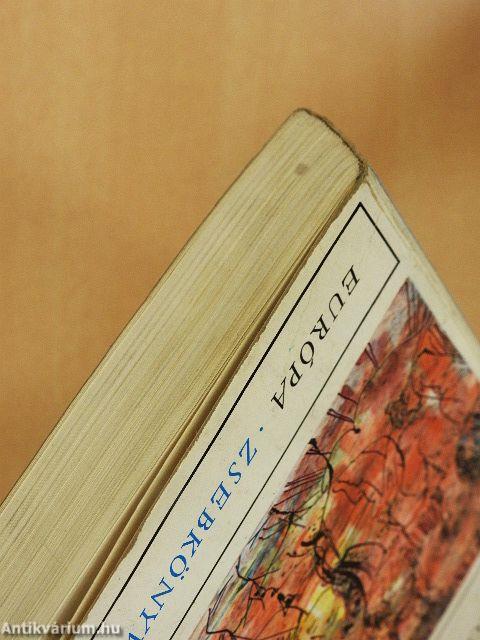 Hiúság vására I-II.