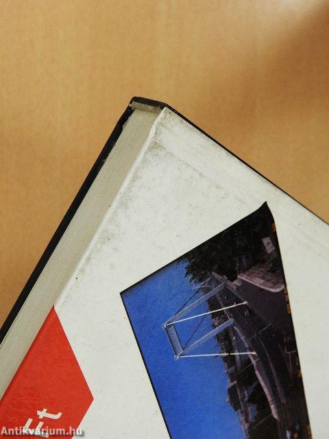 Guinness rekordok könyve 1991.