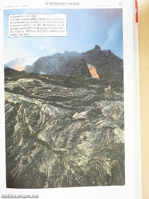 Guinness rekordok könyve 1991.