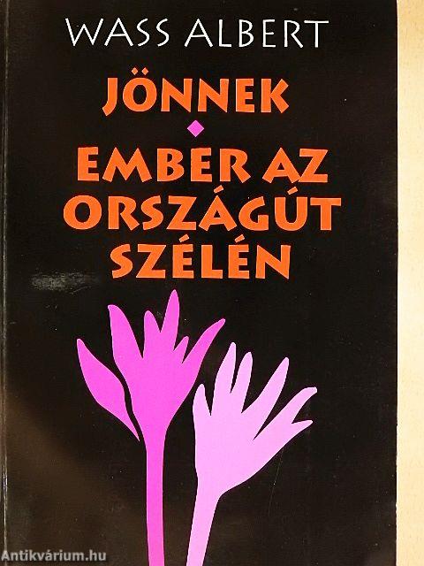 Jönnek/Ember az országút szélén