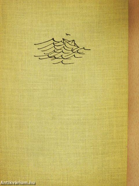 Hullámok kergetése