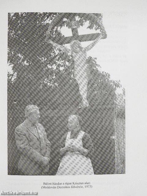 Szegedi műhely 1998/1-4.