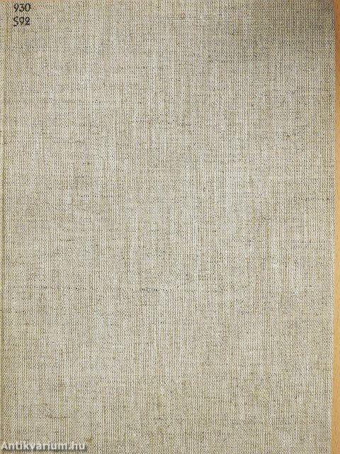 In versunkenen Mayastädten