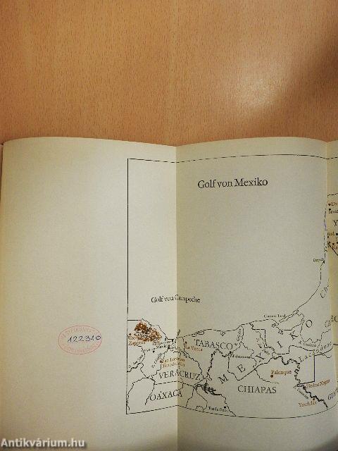 In versunkenen Mayastädten