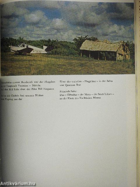 In versunkenen Mayastädten