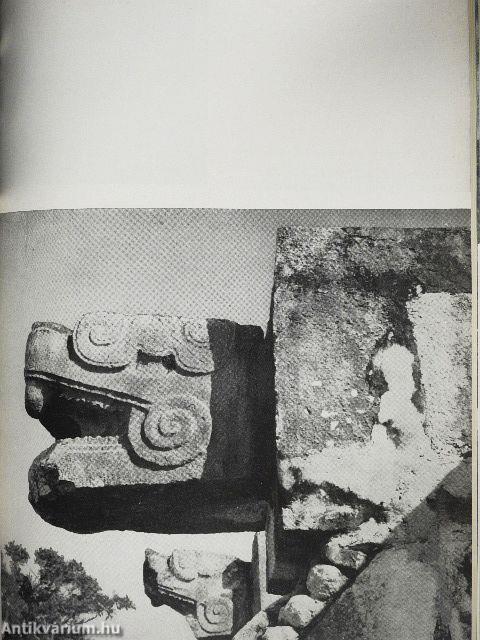 In versunkenen Mayastädten